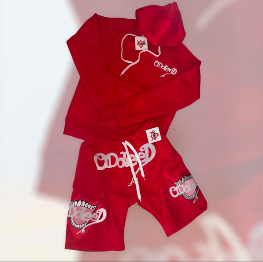2 piece hoodie and sweatshirt
